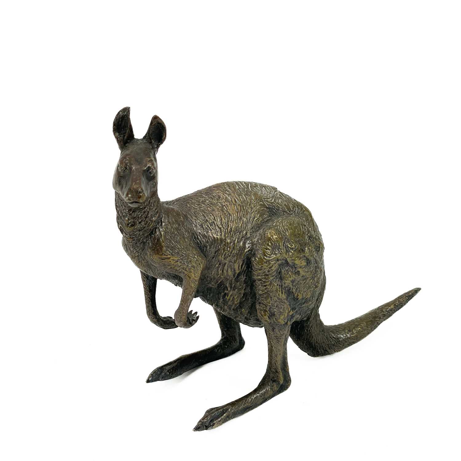 A Franz Bergman Vienna cold painted bronze kangaroo. - Image 2 of 11