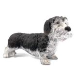 Lawson C. RUDGE, model of a wire haired dachshund.