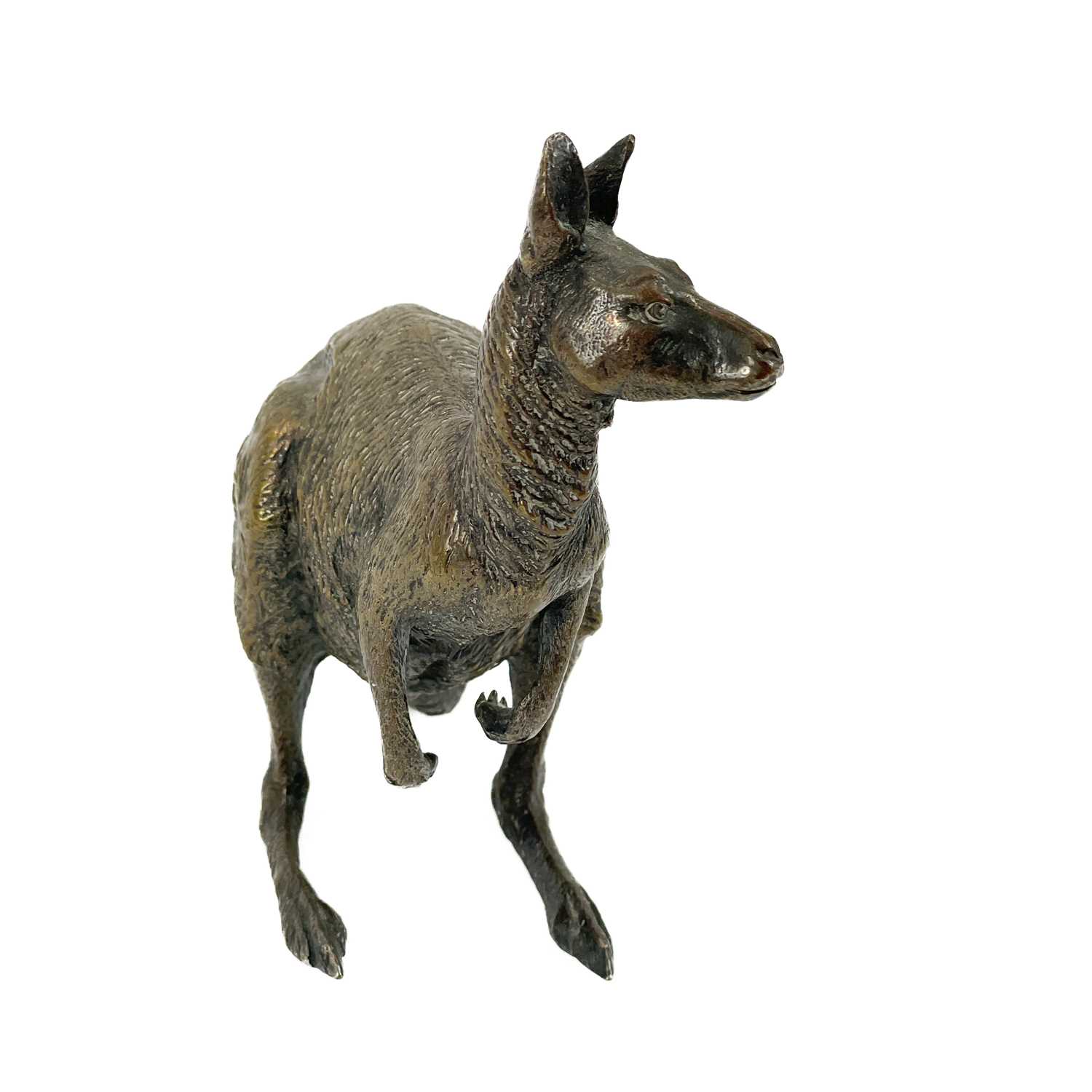 A Franz Bergman Vienna cold painted bronze kangaroo. - Image 3 of 11