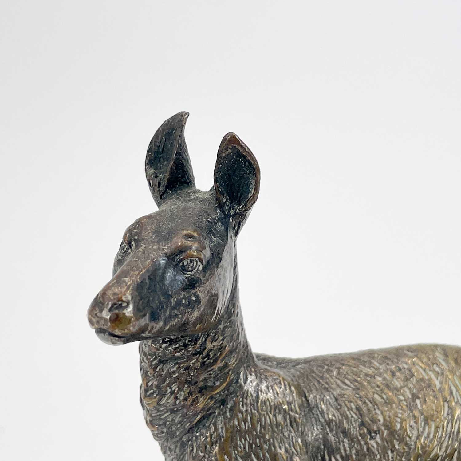 A Franz Bergman Vienna cold painted bronze kangaroo. - Image 6 of 11