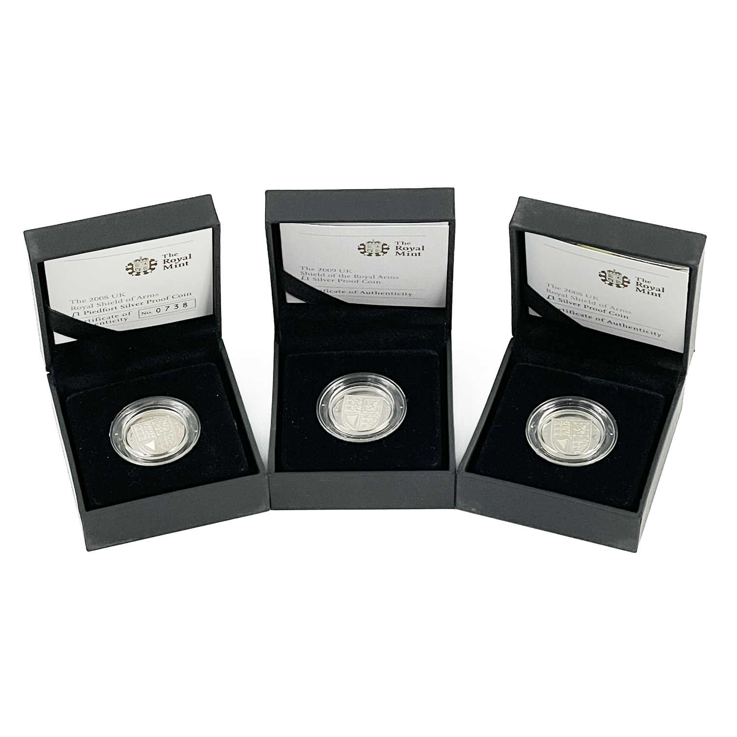 UK Silver Proof £1 Coins 2006 to 2009 (8 coins) in Royal Mint Coin Cases. - Image 4 of 8