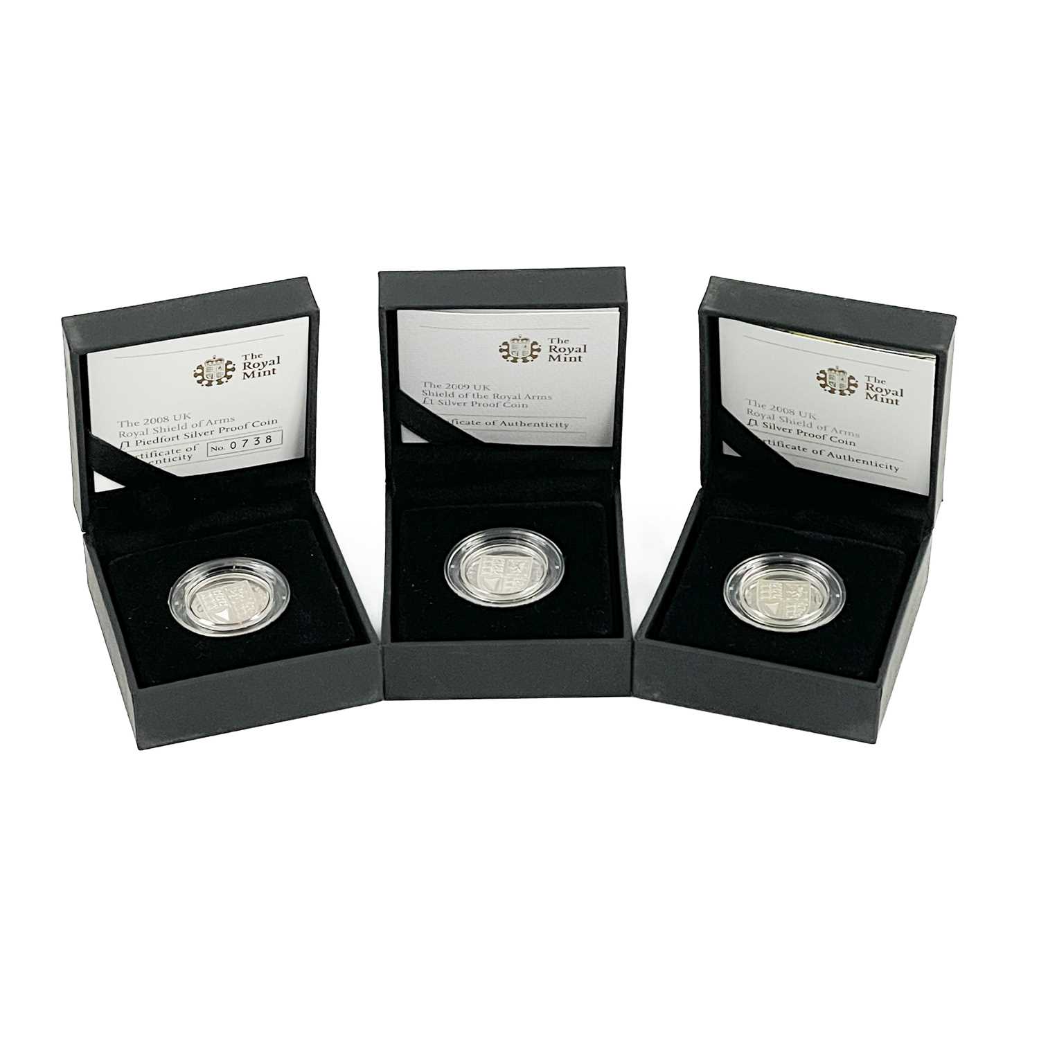 UK Silver Proof £1 Coins 2006 to 2009 (8 coins) in Royal Mint Coin Cases. - Image 5 of 8