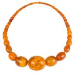 A butterscotch amber graduated bead necklace.