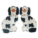 A pair of Victorian Staffordshire pottery black and white figures of spaniels.