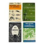 Cornish wildlife. Four works.