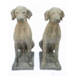 A pair of reconstituted stone Labradors.