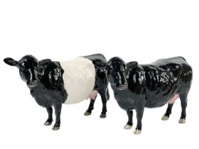 A Beswick pottery Belted Galloway Cow.