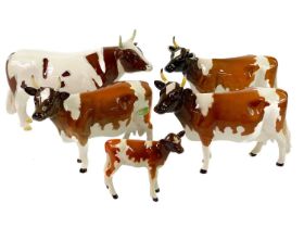 Beswick pottery Ayreshire cattle.