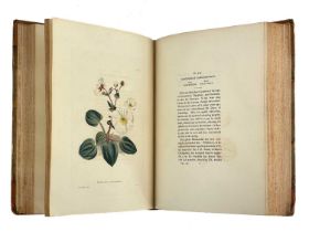(Botanic illustrations) George Cook. 'The Botanical Cabinet Consisting of Coloured Delineations of P