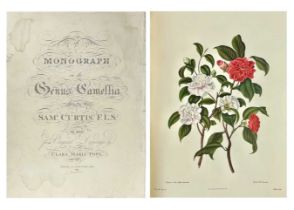 Samuel Curtis Monograph of the Genus Camellia.