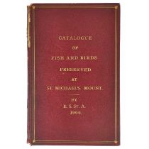 'Catalogue of Fish and Birds Preserved at St. Michael's Mount,' By E. S. St. A. 1906