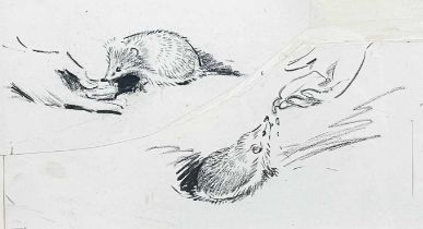 Eileen SOPER, RMS SWLA (1905-1990) Young Hedgehogs Feeding