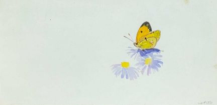 Eileen SOPER, RMS SWLA (1905-1990) Butterfly