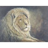 Mark Chester 1960, acrylic drawing of a lion 34cm x 45cm, signed, the reverse with Mark Chester