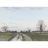 Peter Hayman (b 1930), watercolour, Suffolk scene with track and birds flying, signed to bottom
