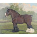 William Albert Clark (1880-1963) oil on canvas, study of a standing shire horse "Lockinge