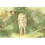 Leonard Pearman 1912-2003, oil on canvas, study of a standing leopard, signed to bottom right hand