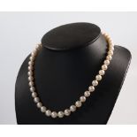 A strand of cultured pearls with a 9ct white gold diamond set clasp 44cm