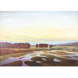 20th Century oil on canvas unsigned, sunset landscape 72cm x 101cm, contained in a heavy
