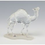 A Swarovski Crystal figure of a standing camel 11cm, boxed