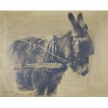 M.A.B.H, 25/3/91, oil on canvas, monogrammed and dated study of a donkey 40cm x 50cm