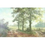 David Dipnall, oil on canvas signed, a woodland landscape 60cm x 75cm