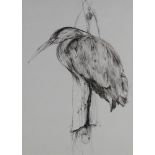 An ink study of a standing heron, unsigned 36cm x 26cm