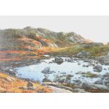 Simchev '07, oil on canvas, mountainous landscape 50cm x 70cm
