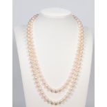A strand of cultured pearls, each 5mm, having a yellow metal 750 diamond set clasp, 94cm