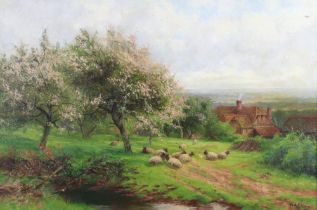 W A Ellery, oil on canvas signed, sheep in an orchard with distant hills on canvas 49cm x 75cm