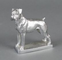 A chrome car mascot in the form of a standing bull dog 9cm x 9cm x 3cm