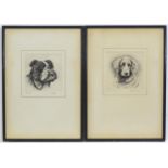 Ronald Basil Emsley Woodhouse, Etching, Golden Retriever. Signed and titled in pencil under.