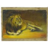 J. Armstrong, Early 20th century, Oil on canvas laid on board, A portrait of a recumbent lion.