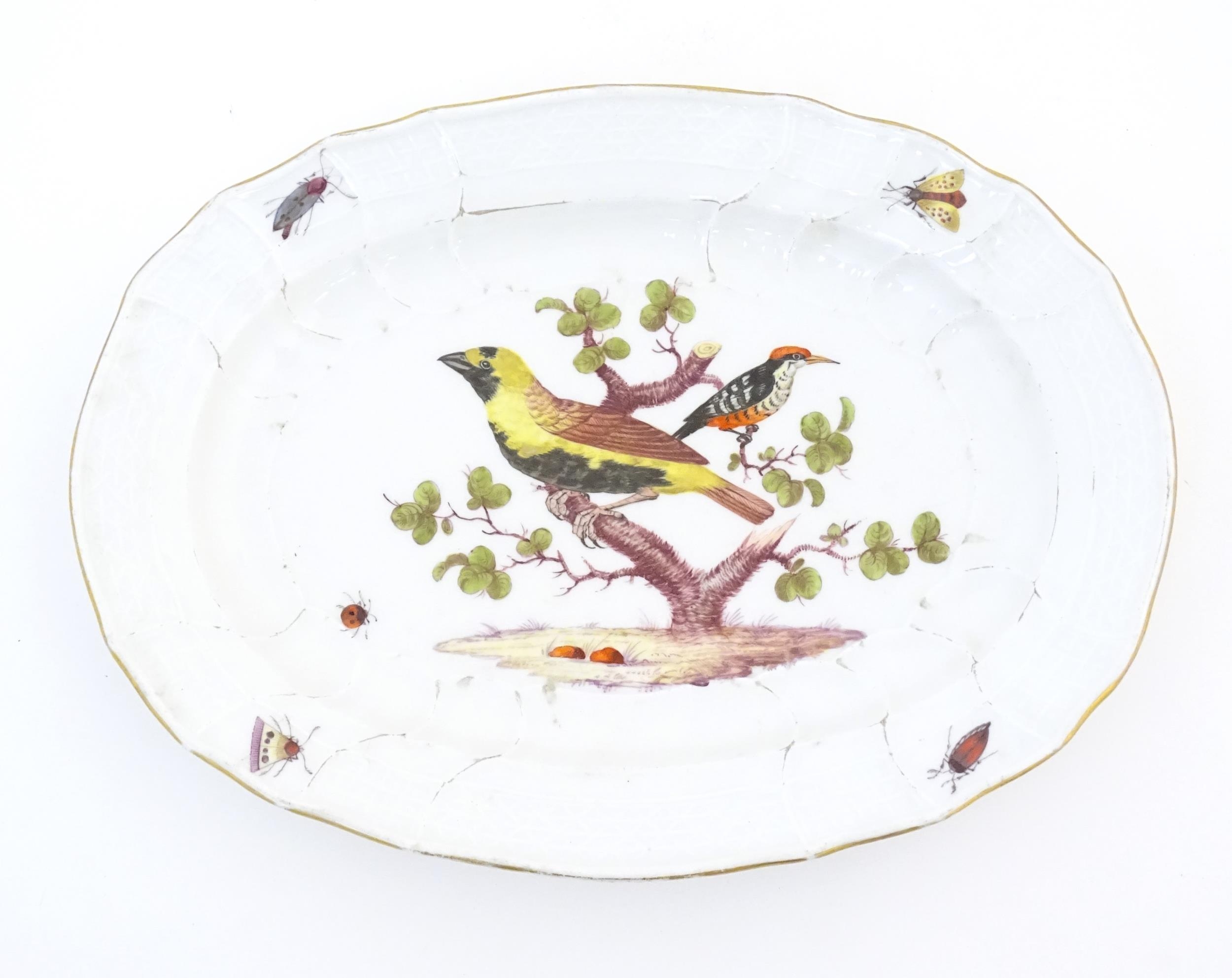 A Meissen style plate of oval form with bird decoration to centre and insect detail to border.