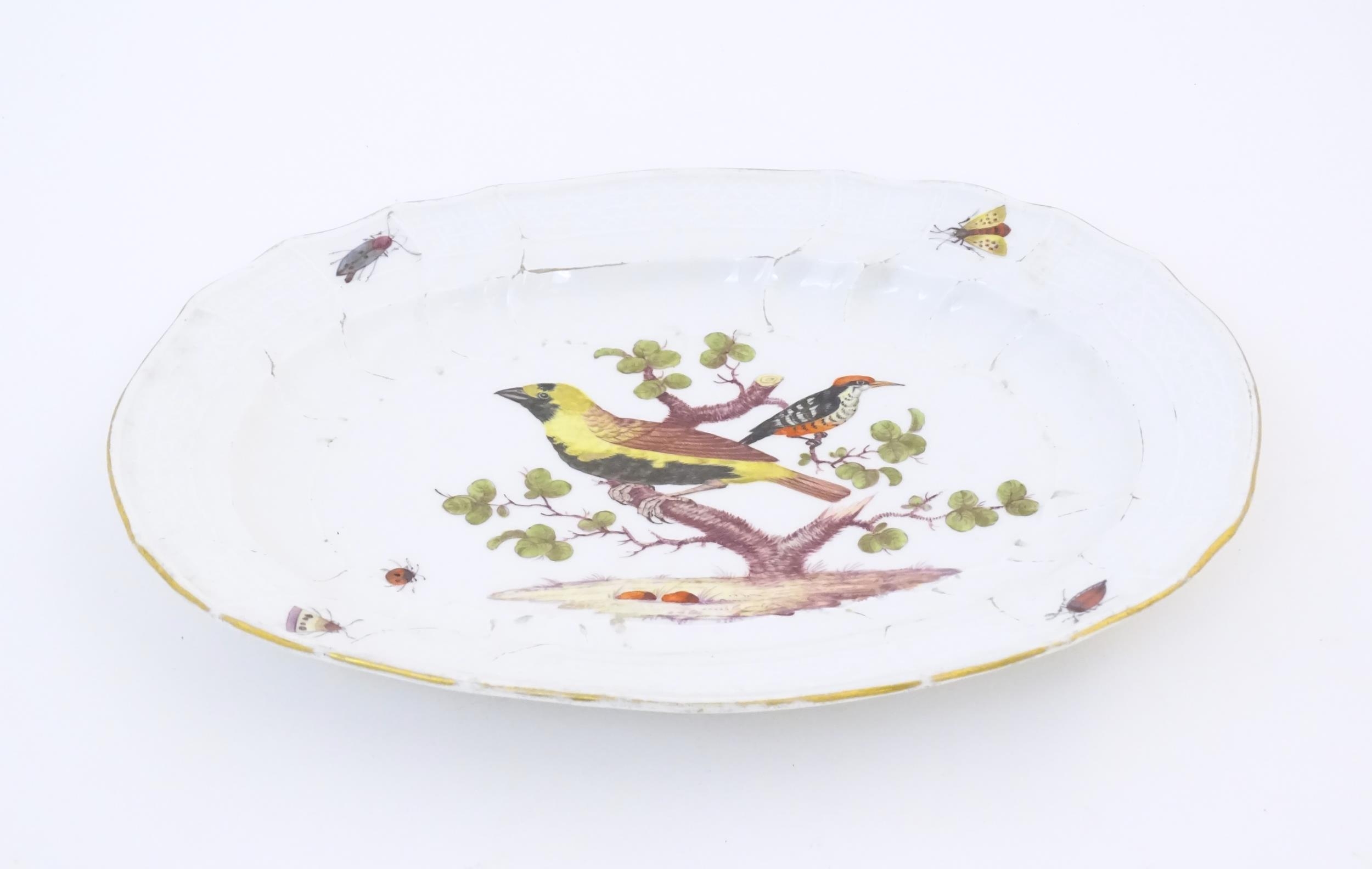 A Meissen style plate of oval form with bird decoration to centre and insect detail to border. - Image 5 of 5