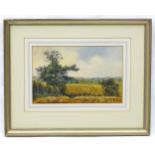 Edward Stamp (b. 1939), English School, Watercolour, July Landscape, Hoggeston Buckinghamshire.