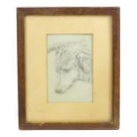 Marian Bennett, Early 20th century, Pencil sketch, A study of a dog. Signed and dated 1903 lower