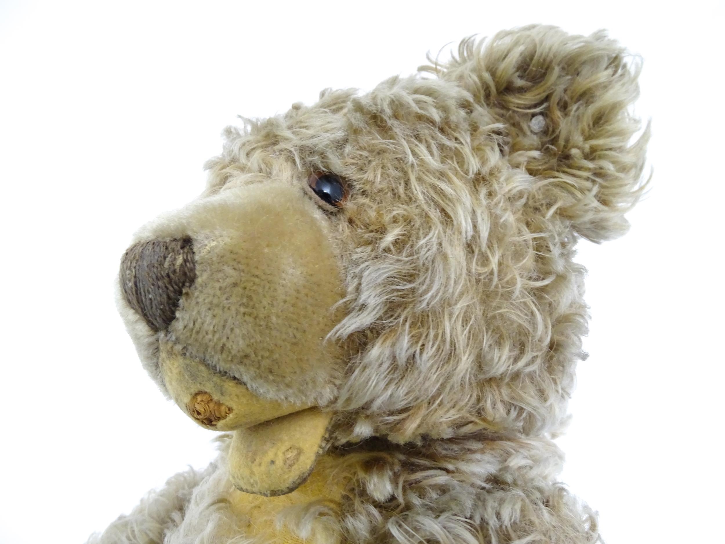 Toy: A 20thC Steiff straw filled mohair teddy bear - Zotty, with stitched nose, open mouth, - Bild 5 aus 8