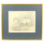 19th century, Pencil drawing, A study of a horse. Approx. 9 1/4" x 11 1/2" Please Note - we do not