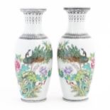 A pair of Chinese vases, each decorated with a peacock perched on a branch with flowers and foliage,