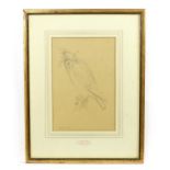 Manner of George Edward Lodge (1860-1954), Pencil on paper, Peregrine Falcon. Dated 1935 lower