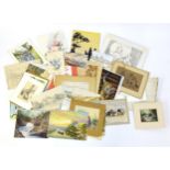 A quantity of assorted loose drawings, watercolours, etc. to include botanical studies, landscape