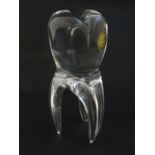 An unusual glass model of a tooth bearing label for Cristallerie Portieux France. Approx 7" high