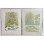 Bob Chaplin (b. 1927), Limited edition print no. 10/50 and artist's proof, Norwegian landscape