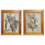 Two hand coloured lithographs after Albert Adam depicting studies of hanging game birds. Approx. 25"