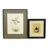 Early 20th century, Watercolour, A study of a kingfisher in flight with a fish in its beak. Signed