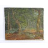 Mary Hennell, Early 20th century, Oil on canvas, Beech Wood, Beaconsfield, A woodland landscape.