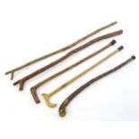 Sticks / canes : Five assorted walking / hiking sticks to include a beech example and another