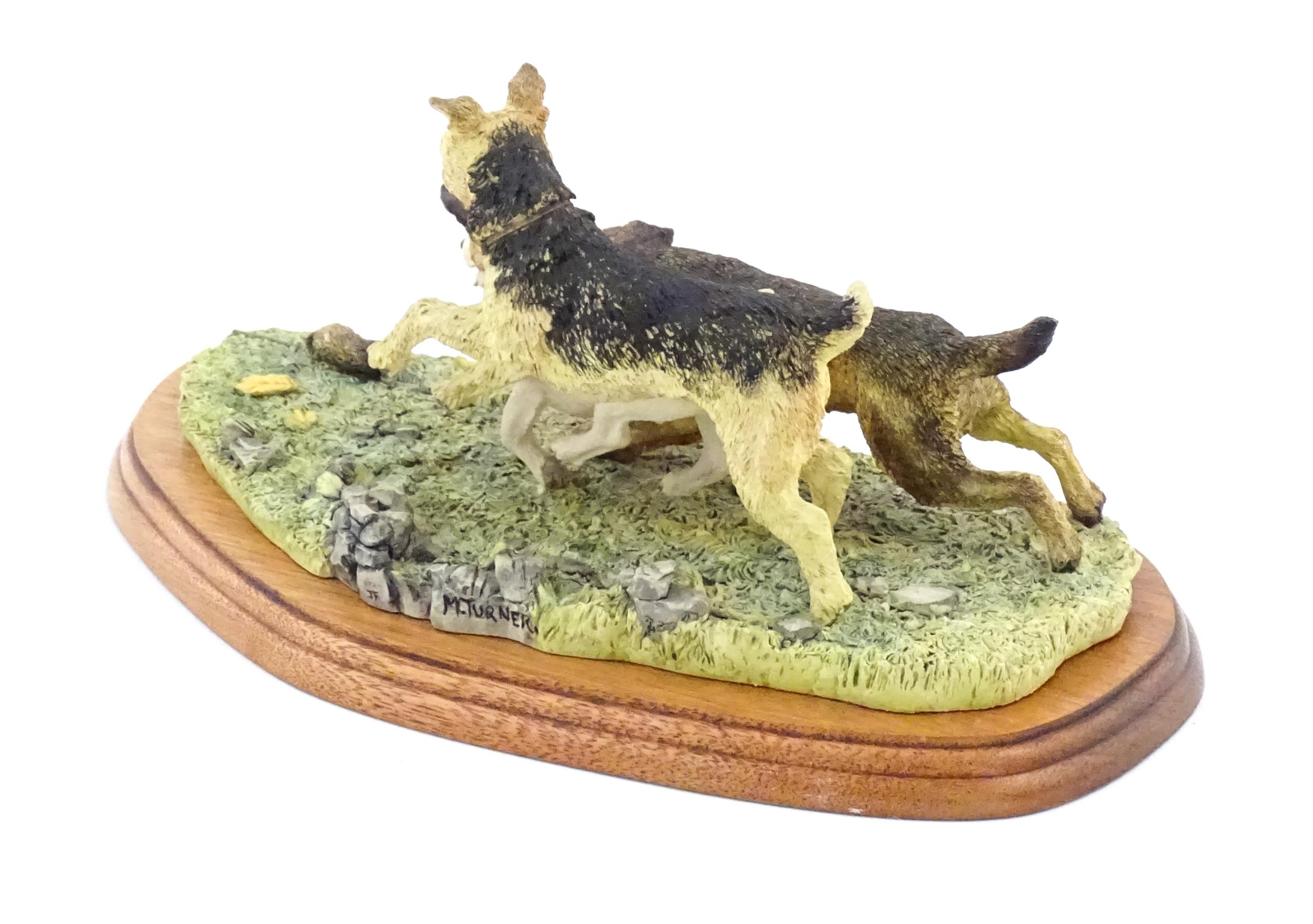 A Border Fine Arts model Terrier Race, by Margaret Turner, model no. B0242. Within a glazed case. - Image 8 of 8