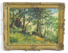 S. N. Chew, 20th century, Oil on board, The Hill Path, A woodland scene. Ascribed verso. Approx.